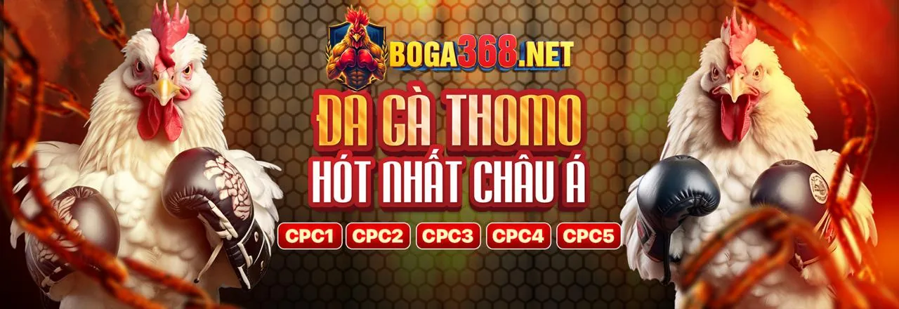 Đá gà trực tuyến 99win kịch tính